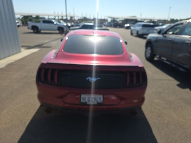 2019 Ford Mustang EcoBoost