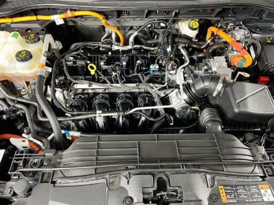 2024 Ford Escape Hybrid ST-Line