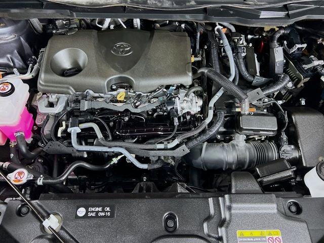 2025 Toyota Sienna XLE 8 Passenger