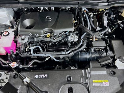 2025 Toyota Sienna XLE 8 Passenger